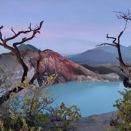 Nio Homestay And Tour Licin Екстериор снимка